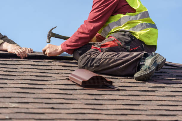 Best Gutter Installation and Roofing  in Haledon, NJ