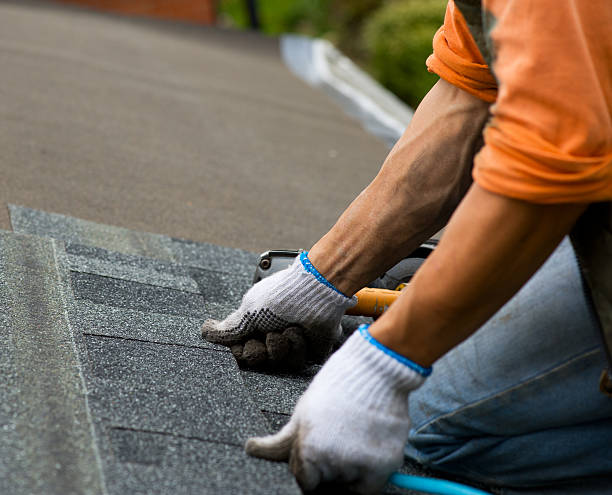 Best Roof Restoration Services  in Haledon, NJ