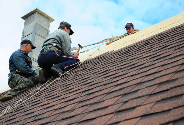 Best Storm Damage Roof Repair  in Haledon, NJ